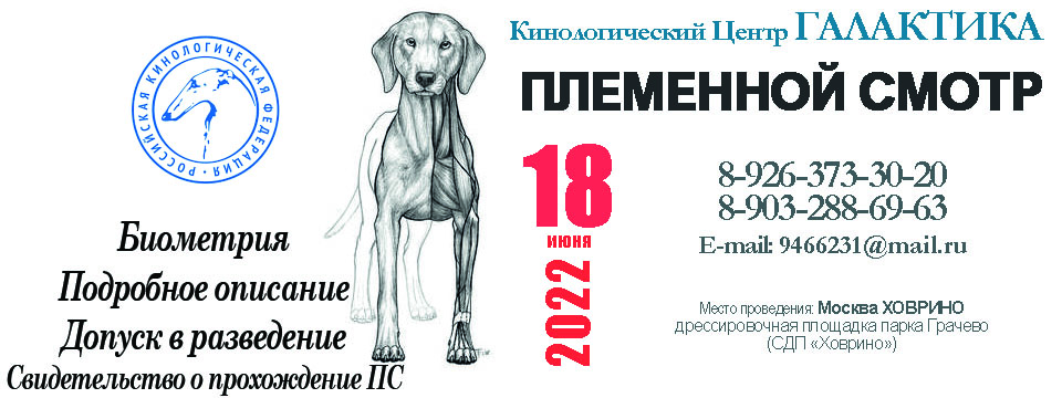 Расписание выставок джек рассел терьер (парсон) на 2020 год - монопородные выставки