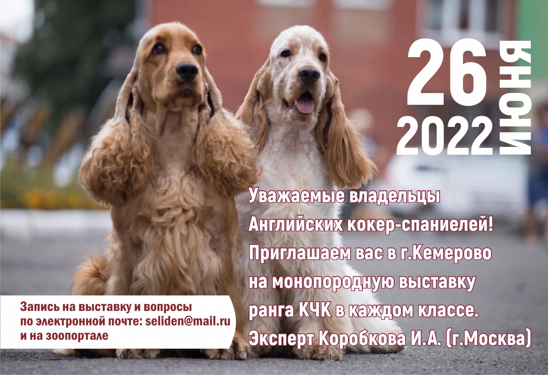 Монопородные выставки Национального клуба породы 