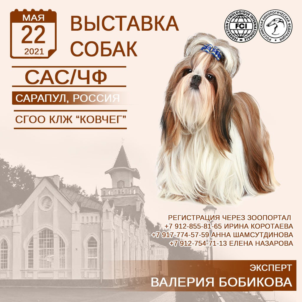 Зоопортал выставки ростов на дону. Стрижка собак Нефтекамск. Зоопортал выставки собак Вологда. Выставка собак всех пород ранга САС Г. Пермь "апрель Прикамья 2022". Выставка собак всех пород г Владимир 9 июля каталог.
