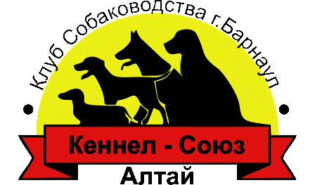 общественная организация клуб