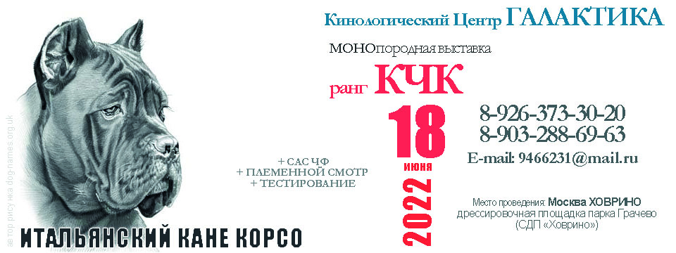 Монопородные выставки в Санкт-Петербурге