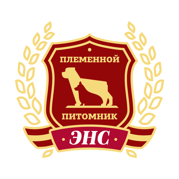 Тоо проект энс