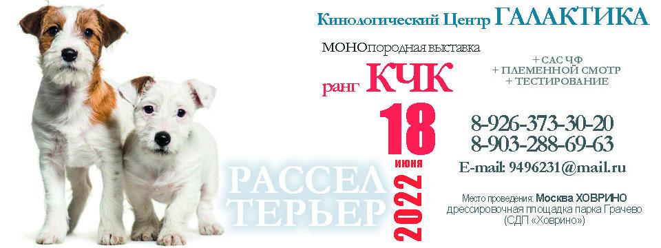 Выставки в Москве и Петербурге