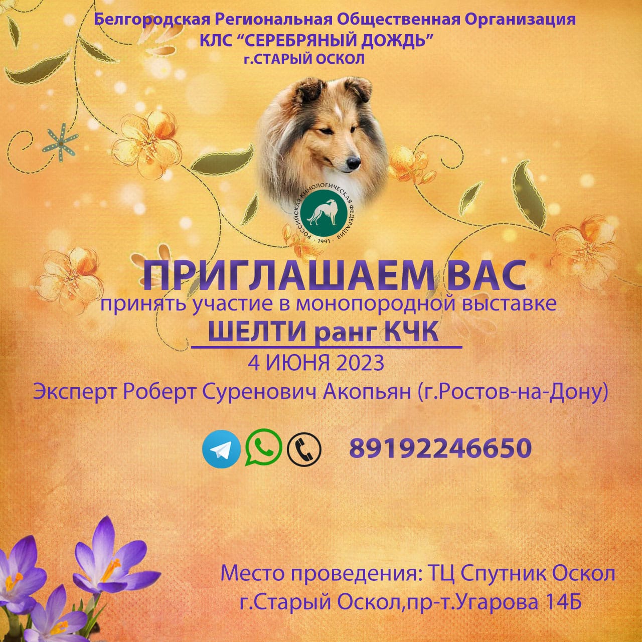 Расписание монопородных выставок такс на 2020 год - это уникальная возможность узнать о выставках НКП в Москве, Санкт-Петербурге и других городах!