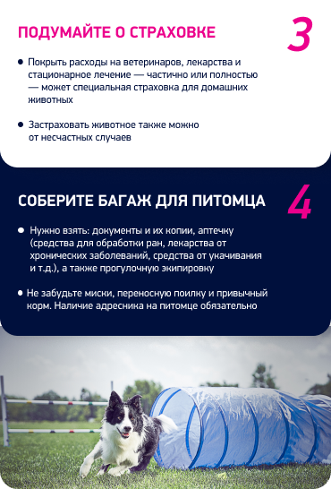 RKF.Online